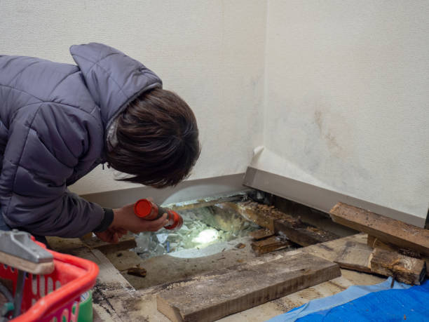 Best Industrial Mold Remediation  in Maryland City, MD