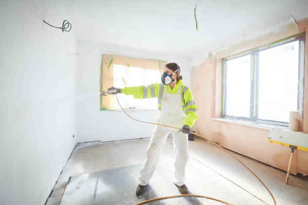 Professional Mold Removal in Maryland City, MD