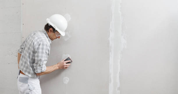 Best Mold Removal for HVAC Installations  in Maryland City, MD