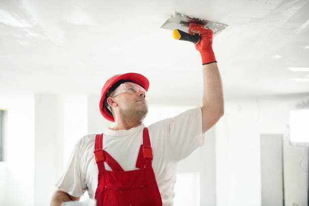 Best Residential Mold Inspection & Testing  in Maryland City, MD