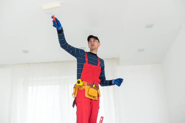 Mold Removal for HVAC Installations in Maryland City, MD