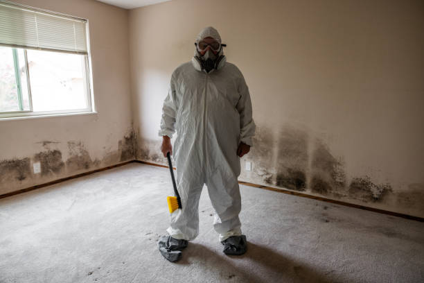 Best Mold Damage Restoration  in Maryland City, MD